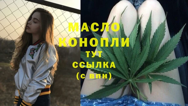 индика Богданович