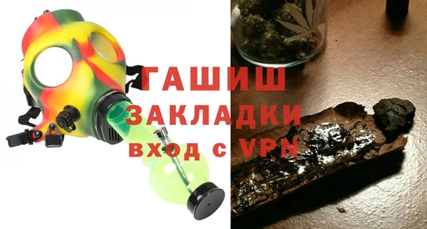 индика Богданович